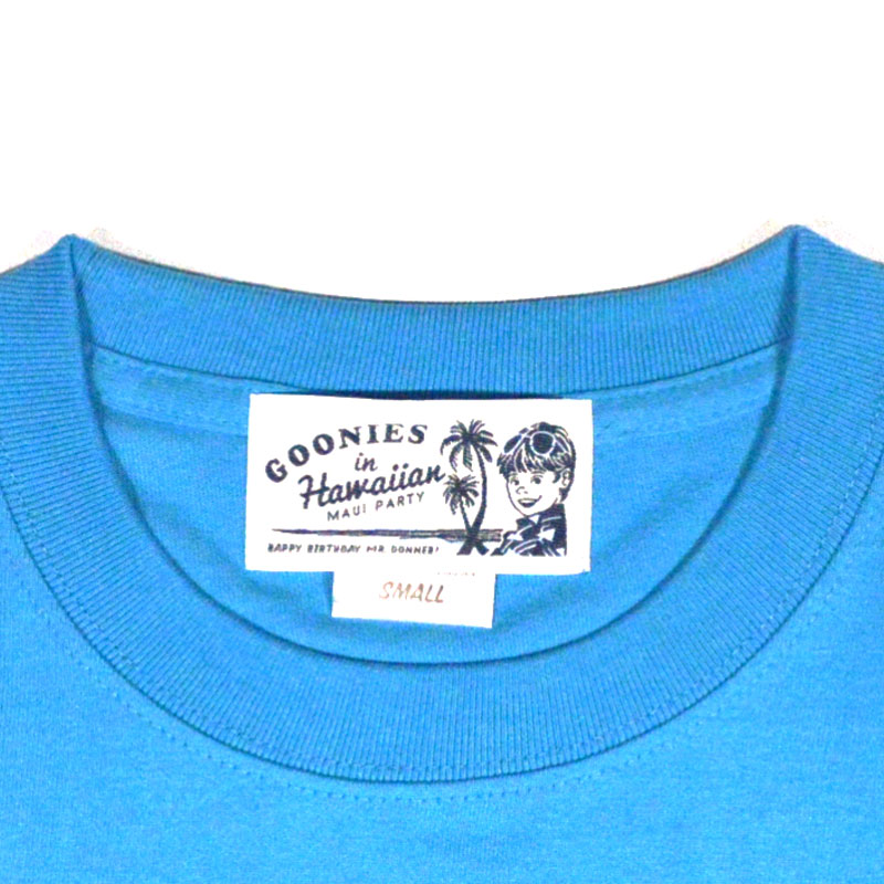 hg18ss43_5.jpg