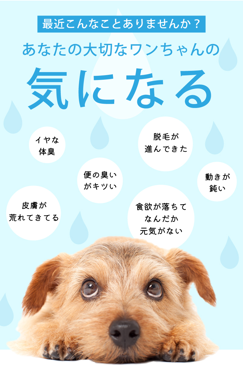 商品説明2