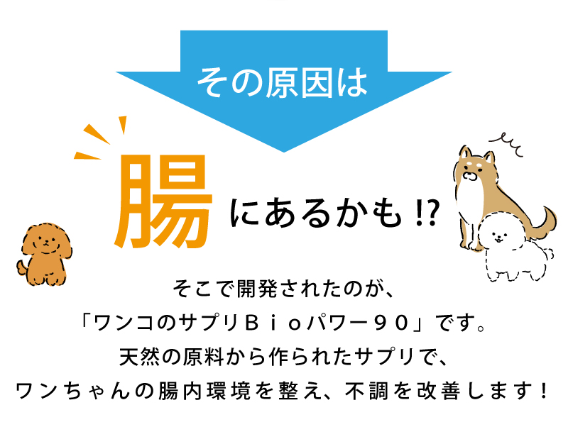 商品説明3