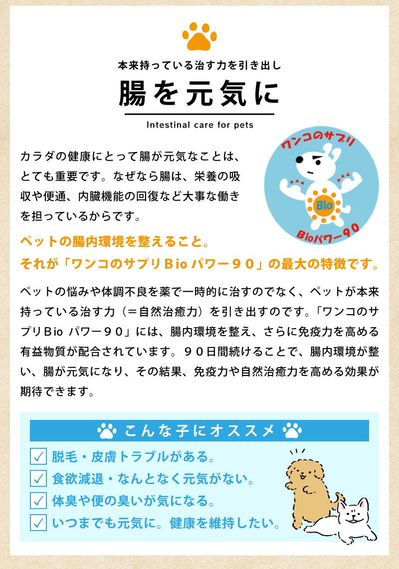 商品説明6