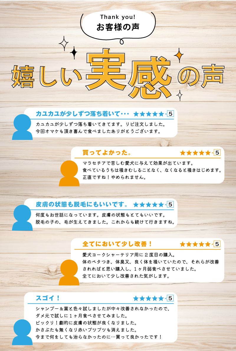 レビュー紹介