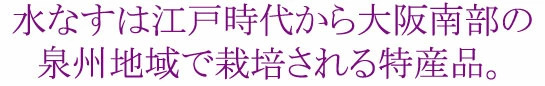 水なすは大阪南部の泉州地方で栽培される特産品