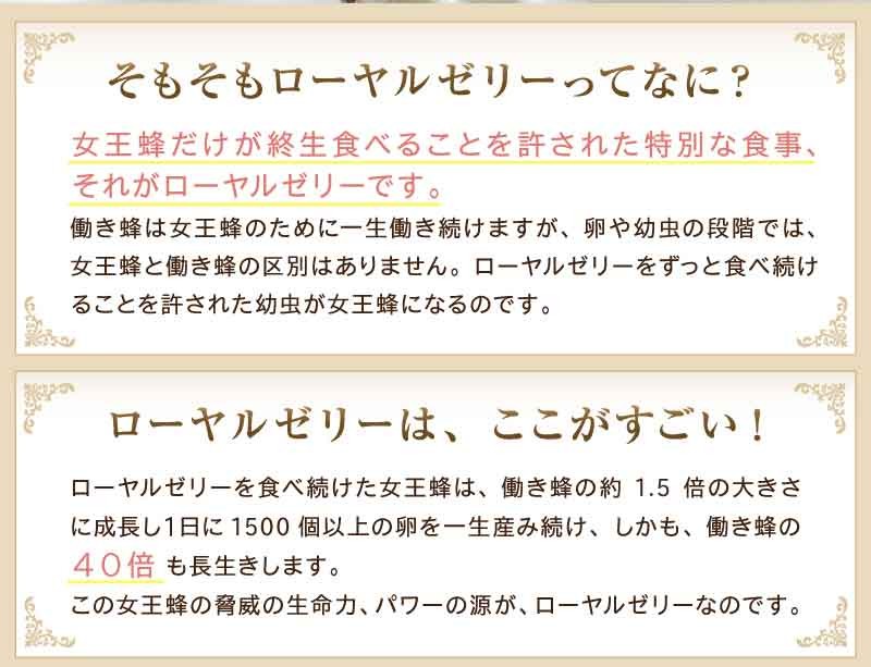 生ローヤルゼリー 国産 効果 効能 ローヤルゼリー 効能 プレミアム30g :09az010:おいしい干し芋 みのりの里 - 通販 -  Yahoo!ショッピング