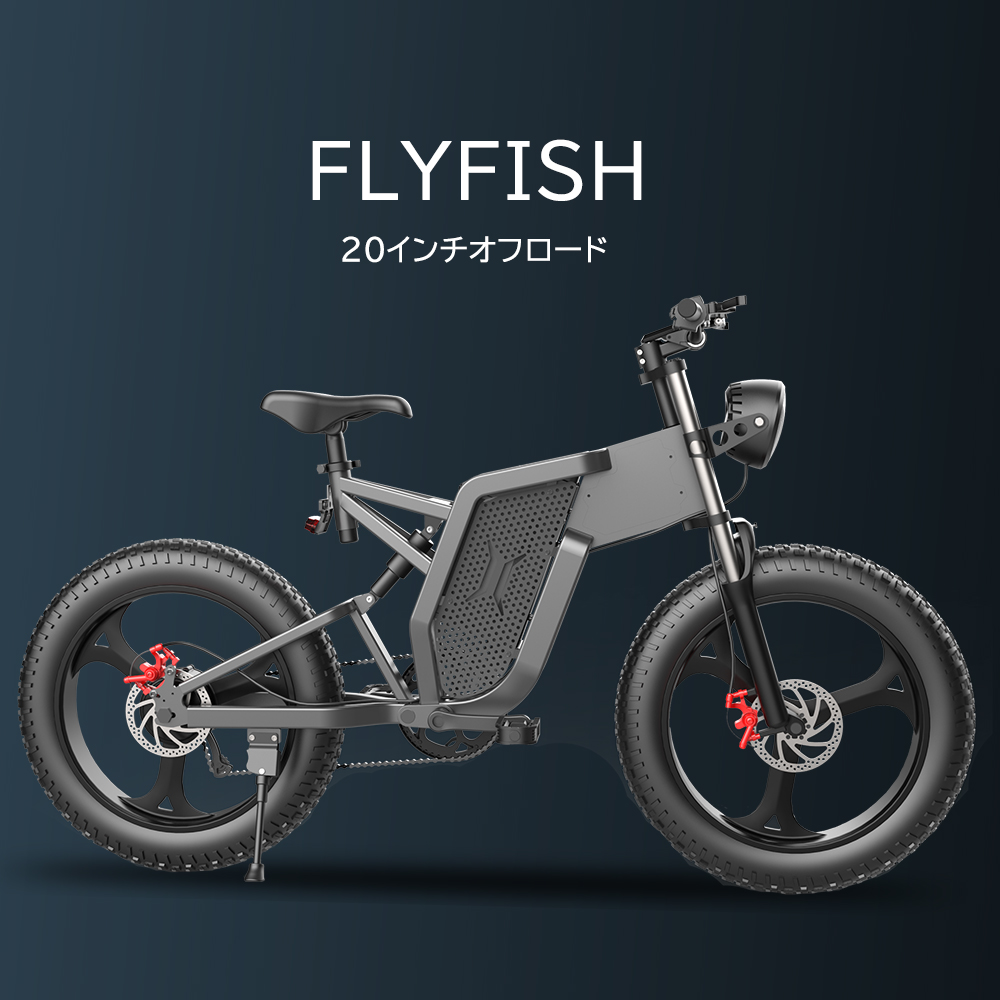 FLYFISH 通勤用バイク 電動自転車 アルミ 液晶モニター付き 防水耐震性