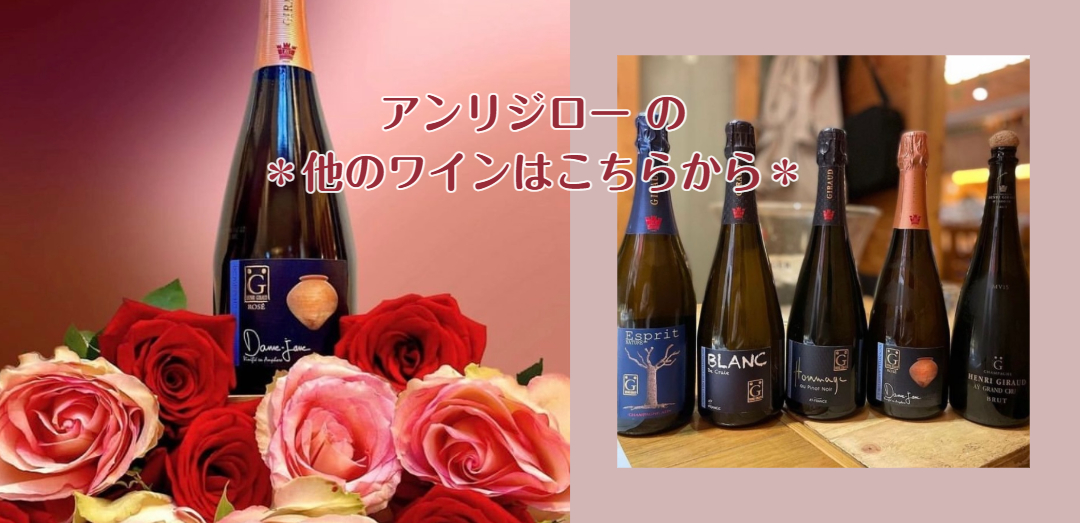 新品未開封 アンリジロー オマージュ 750ml シャンパン アンリ・ジロー オマージュ・オー・ピノ・ノワール - シャンパーニュ
