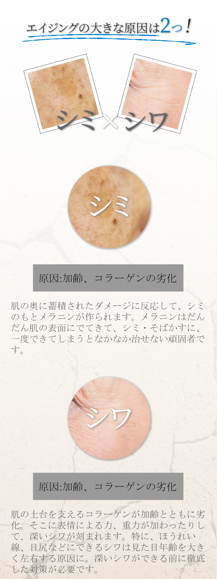 ブランピュア ナイアシンアミド 化粧水 薬用ホワイトピュアローションN 180ml 医薬部外品 美白 シワ改善 保湿 肌荒れ 乾燥 毛穴 たるみ エイジング