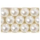 パール Pearl SHAREKI