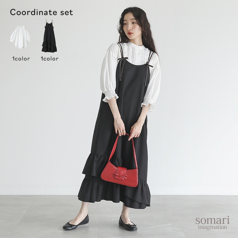 多肉 多肉植物 八重桔梗 2つセット 多肉アン 矢印の2つをお届けします