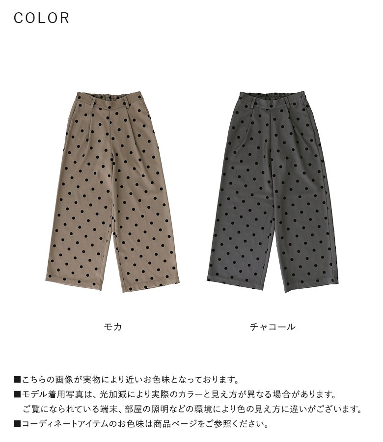 8月22日19時予約受付開始アイテム│1page｜通常価格│Eimee Law