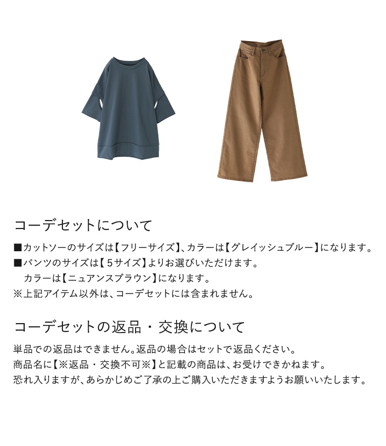 【6/9販売】【送料無料】2点コーデセット 2024 レディース Tシャツ トップス カットソー パンツ ボトムス【メール便不可】【25】 楽天市場】2点コーデセット 2024 レディース Tシャツ トップス