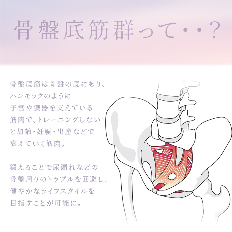 送料無料】骨盤クッション レディース 生活雑貨 ライフスタイル雑貨 尿
