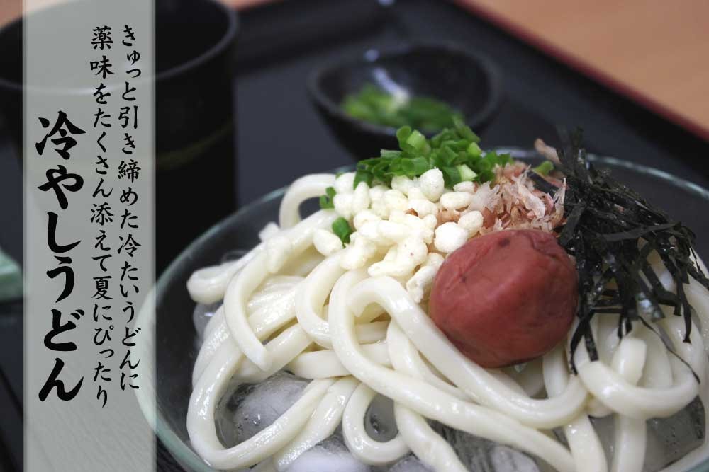 20食セット 忍野のうどん 500g×5袋 ※沖縄 クール便配送 15時までのご注文で翌営業日出荷 離島は送料別途500円 送料無料