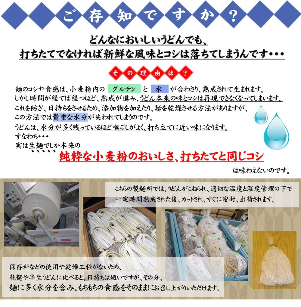 20食セット 忍野のうどん 500g×5袋 ※沖縄 クール便配送 15時までのご注文で翌営業日出荷 離島は送料別途500円 送料無料