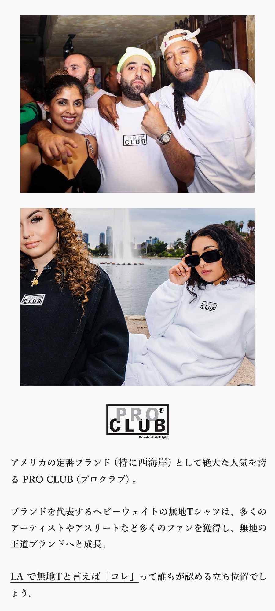 PRO CLUB (プロクラブ) Classic Stripe Crew Socks 靴下 ラインソックス メンズ ブランド 厚手 丈夫 綿 ストリート おしゃれ 白 黒 | PRO CLUB | 06