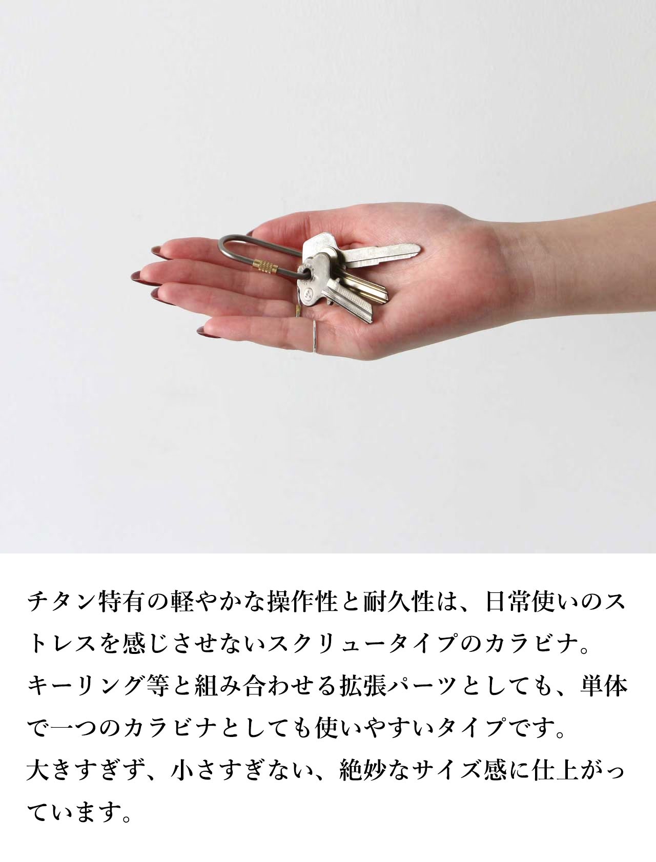 DETAIL ディテール Titanium Screw Lock Keyring チタン キーリング カラビナ スクリュー ストリート ブランド メンズ レディース おしゃれ プレゼント シンプル | DETAIL | 06