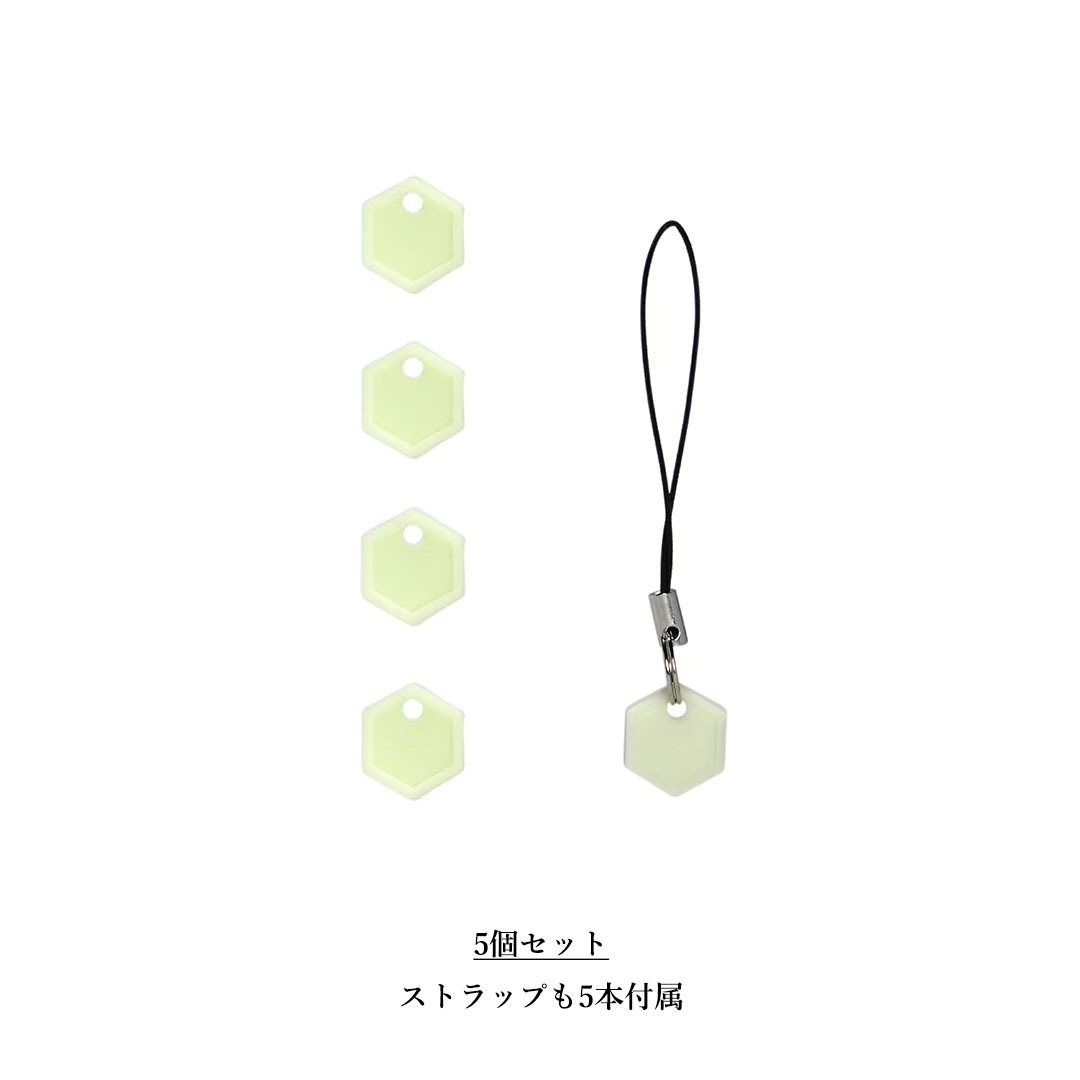 CountyComm カウンティーコム UGM Mini Marker set of 5 ミニ蓄光タグ 5点セット 蓄光 タグ ストラップ キーホルダー 光る 暗闇 glow in the dark | ブランド登録なし | 04