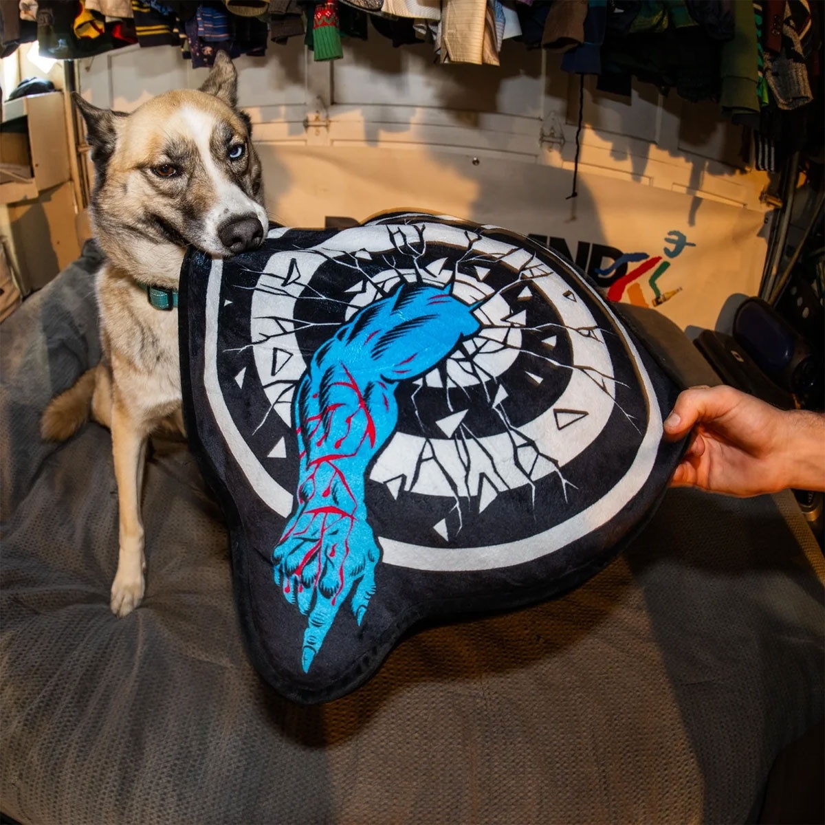 Santa Cruz サンタクルーズ Roskopp Target Pillow アクセサリー クッション 洗える おしゃれ 丸型 円形 気持ちいい 車 本体 santacruz ピローの画像