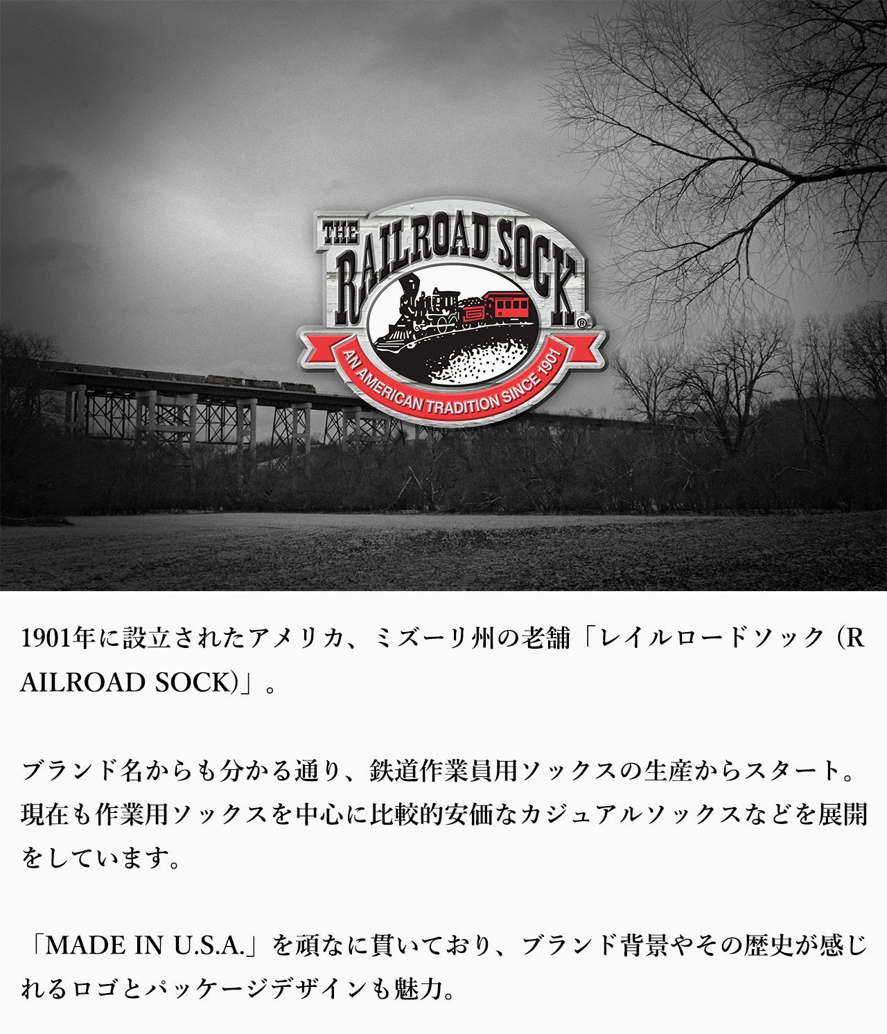 THE RAILROAD SOCK レイルロードソック 2 Pair Therapeutic Socks ソックス 靴下 メンズ ゆったり ゆるい ゴム 無地 むくみ 糖尿病 敏感肌 白 黒 綿 | Railroad Sock | 05