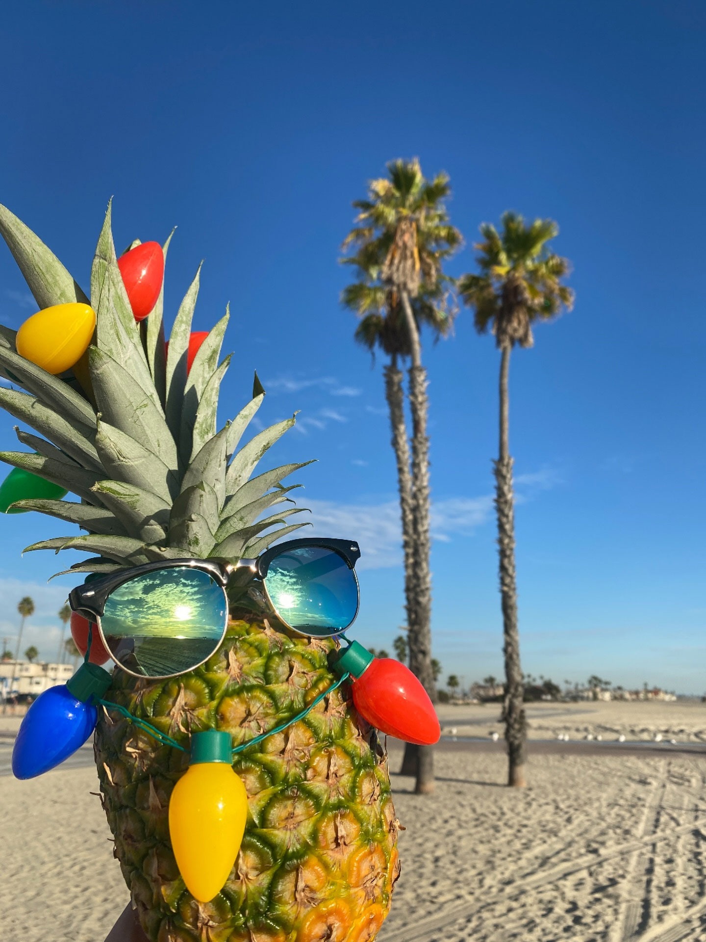 HAPPY HOUR Sunglasses Happy Hour ハッピーアワー G2 Happy hour