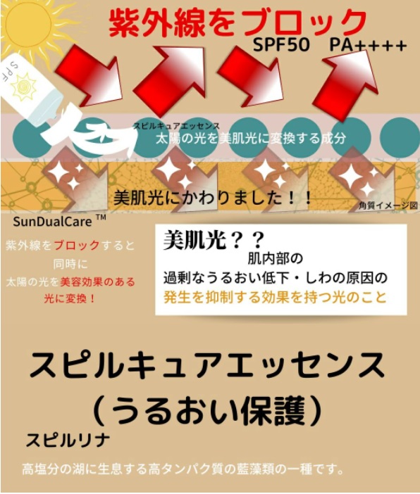 アネッサ 資生堂 デイセラム ANESSA 日焼け止め 美容光 紫外線