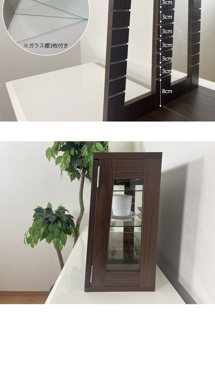 卓上コレクションケース