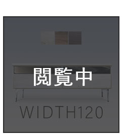 W120TV