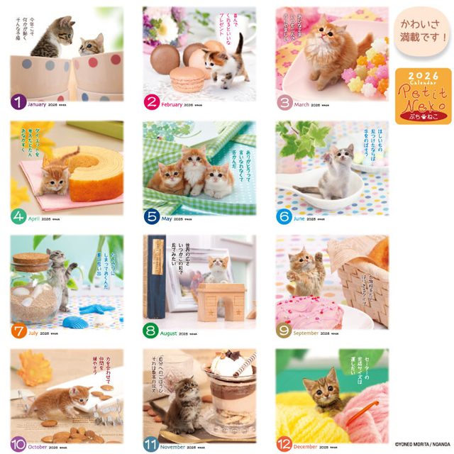 カレンダー 2026 卓上 猫 ぷちねこ Petit Neko 2026年 令和8年 7枚