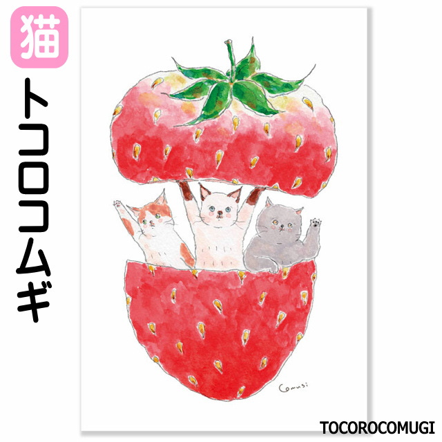 トコロコムギ ポストカード 猫柄 いちご 多目的カード K06-PG-262 日本
