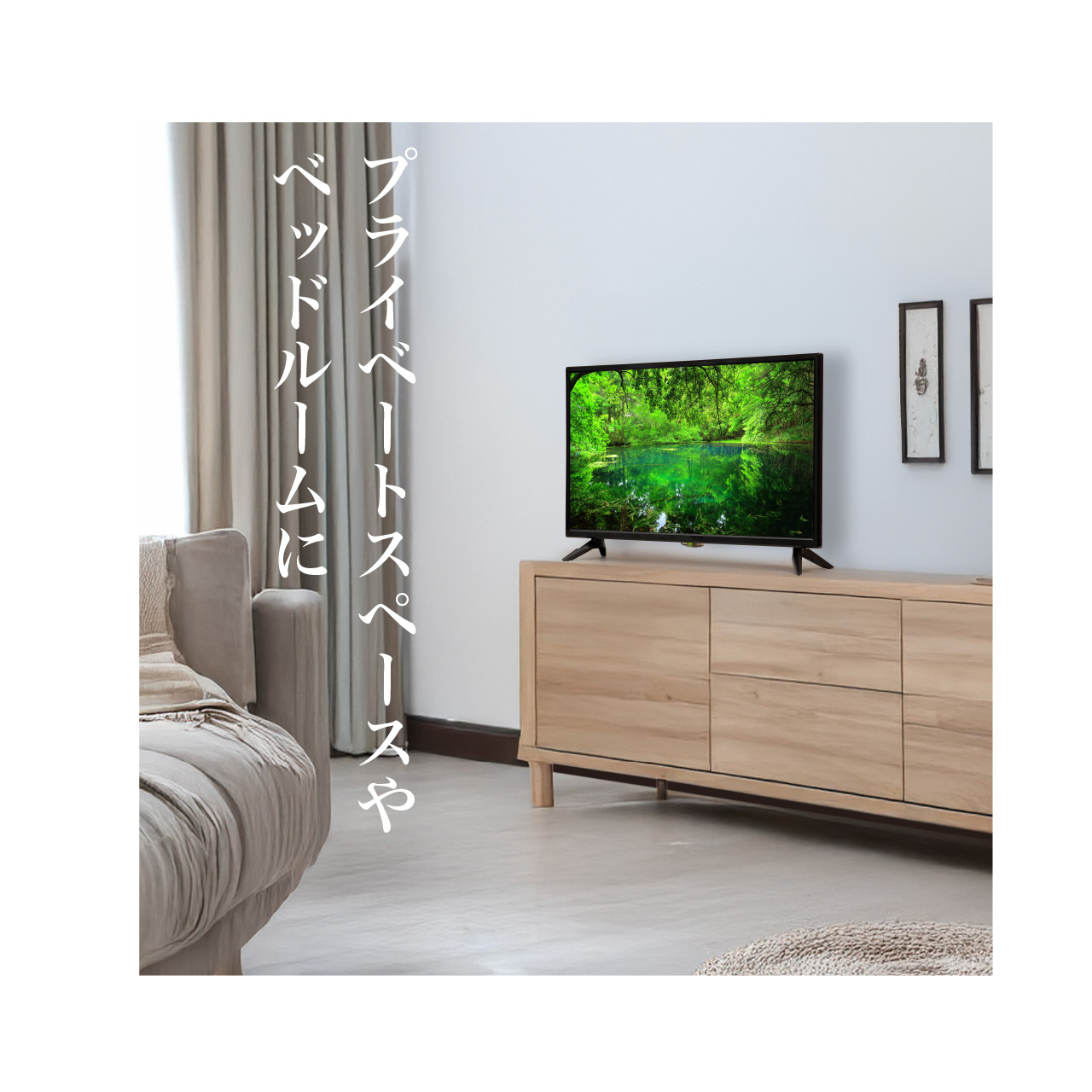 地デジ ハイビジョンTV ティーズネットワーク TEES 24V型 ハイビジョン3波(地デジ/BS/CS