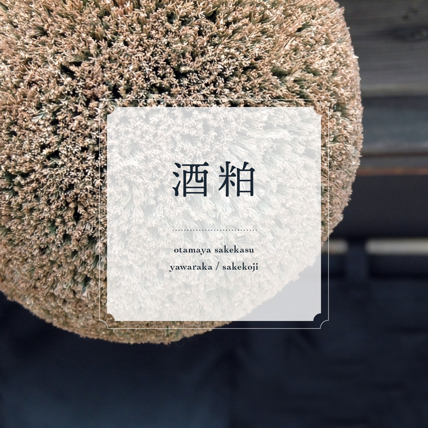 酒粕