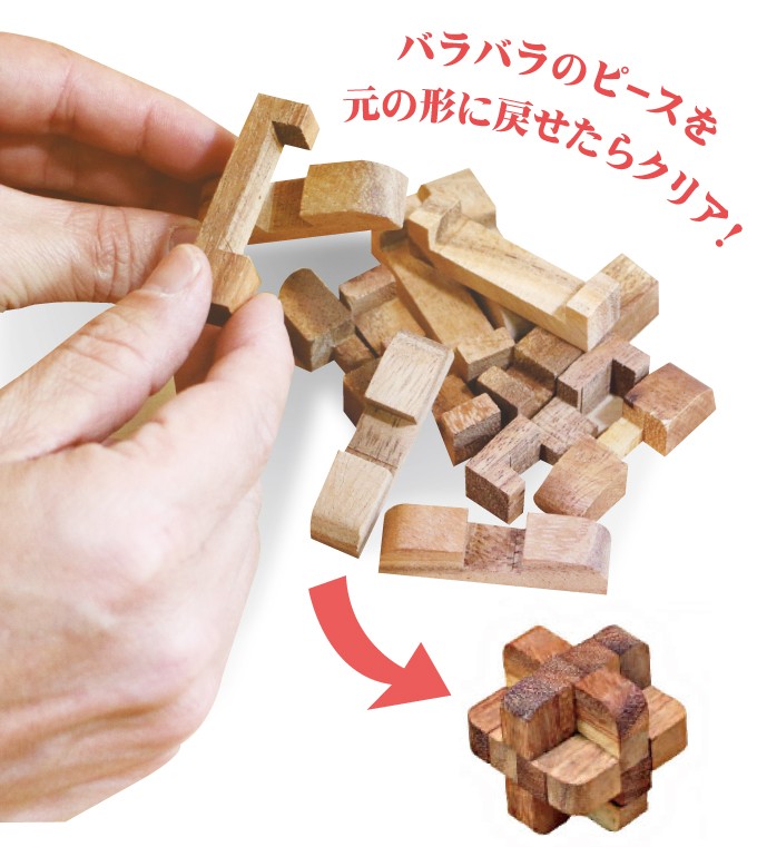 木製立体パズル12個セット 木箱入りウッドパズルセット 脳トレ ウッドパズル 木のパズル 立体パズル 脳トレパズル 組木 10歳からの知育玩具