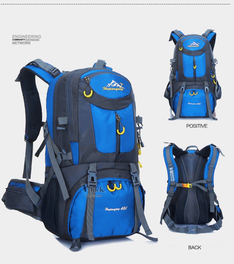 犬 三角 重要な 軽量 ザック 50l Lessonsguitar Org