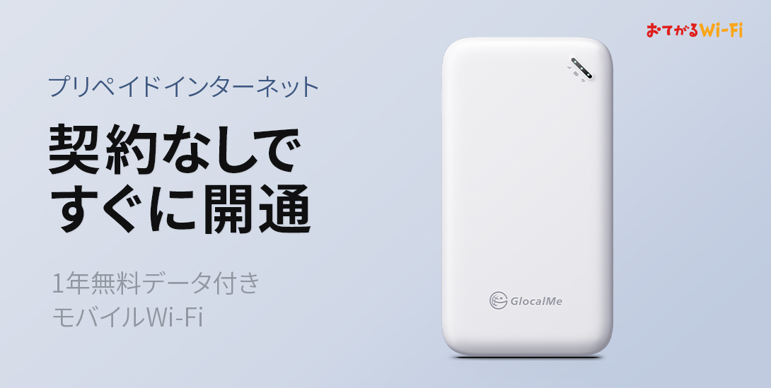 WiFi追加通信データ容量100GB（おてがるWiFi端末ご購入者様限定