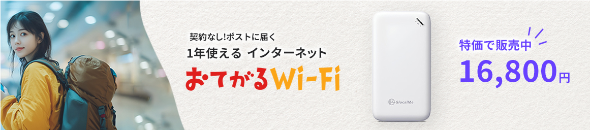 データ付きモバイルWi-fi