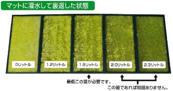 マットに灌水して裏返した状態