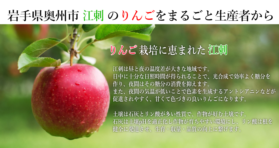 江刺産りんご 岩渕ファーム サンふじ／シナノゴールド詰め合わせ 3kg