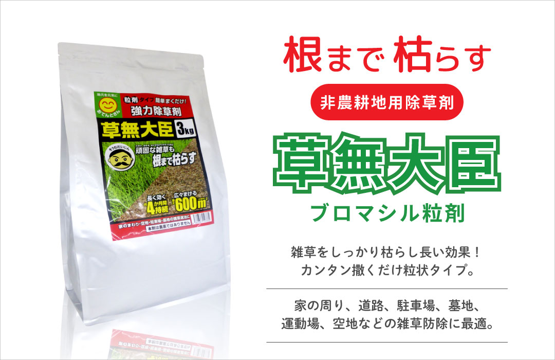 農家のお店おてんとさん - Yahoo!ショッピング