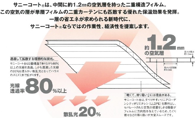 人気デザイナー-タンガロイ• 旋削用G級ネガTACチップ TH10 10個 DNGA1