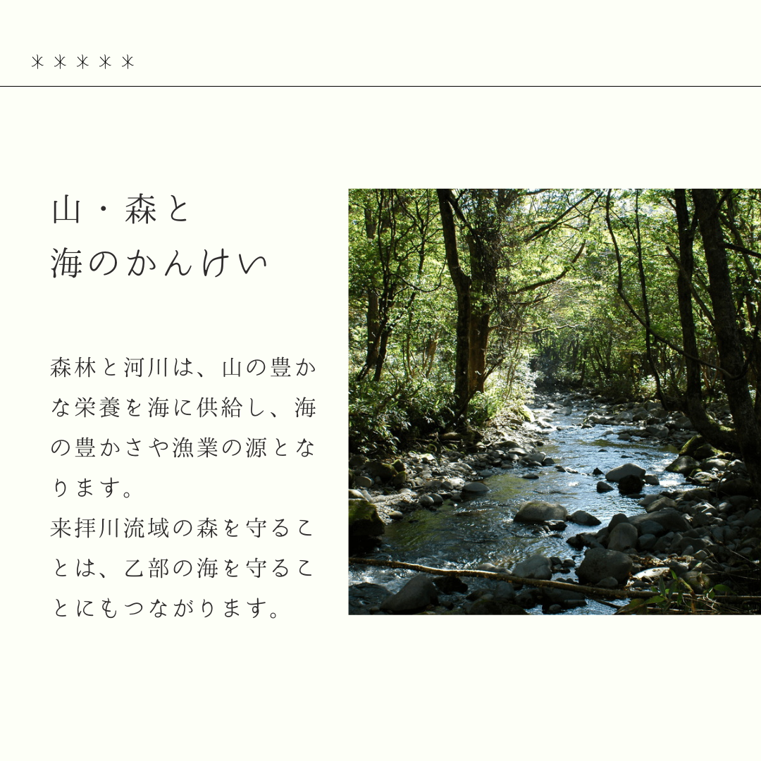 蜂蜜魚つき3