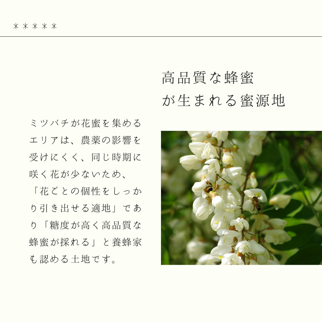 蜂蜜魚つき4