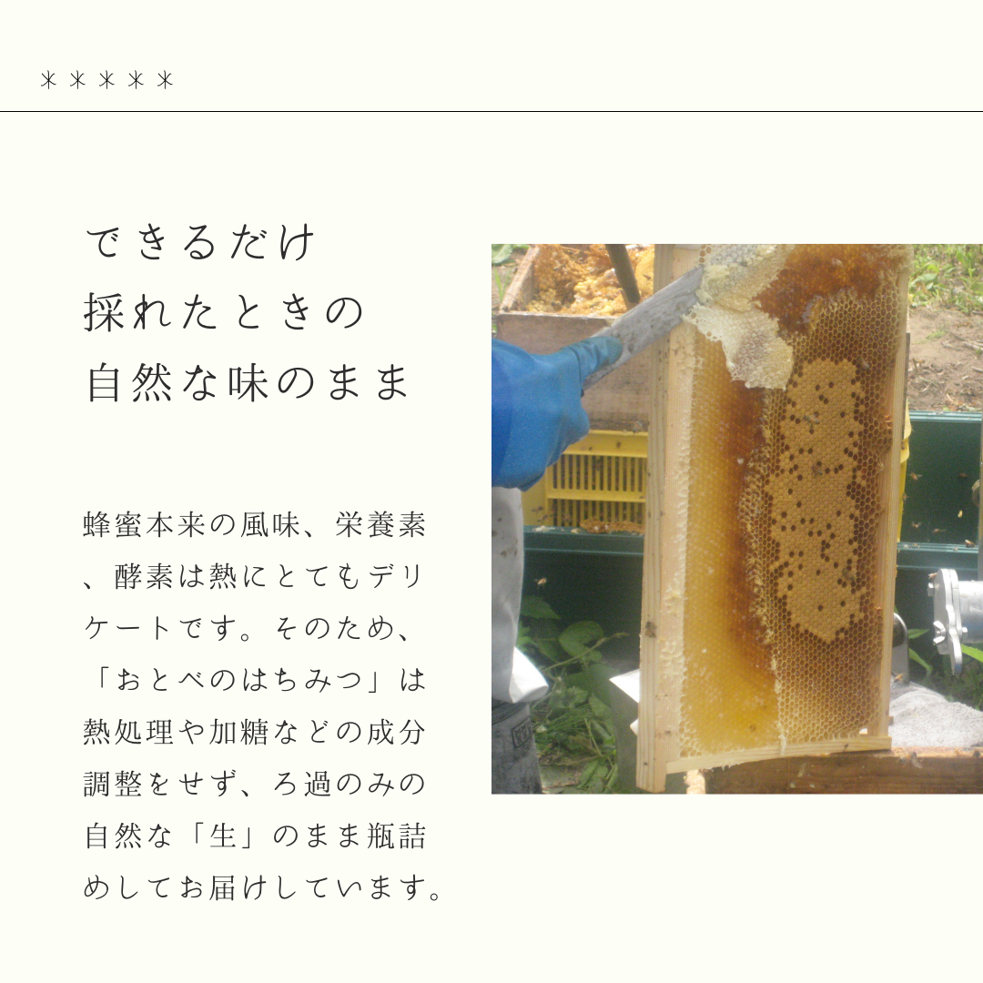 蜂蜜魚つき6