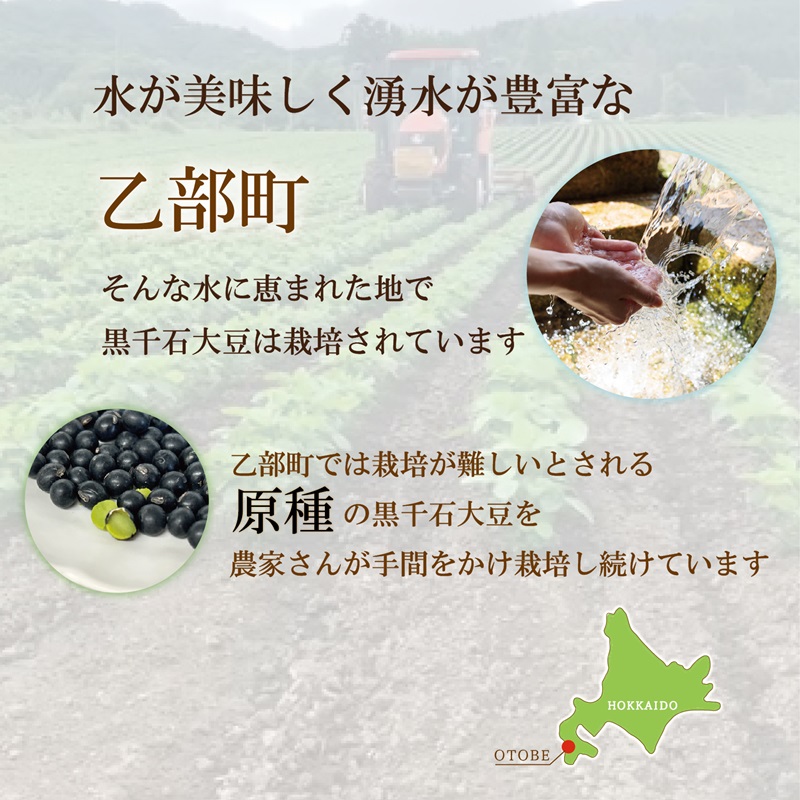 黒千石大豆説明2