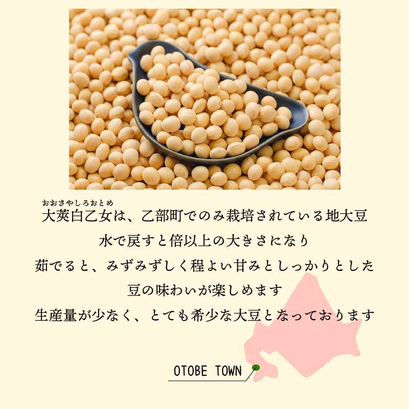 大莢白乙女詳細1