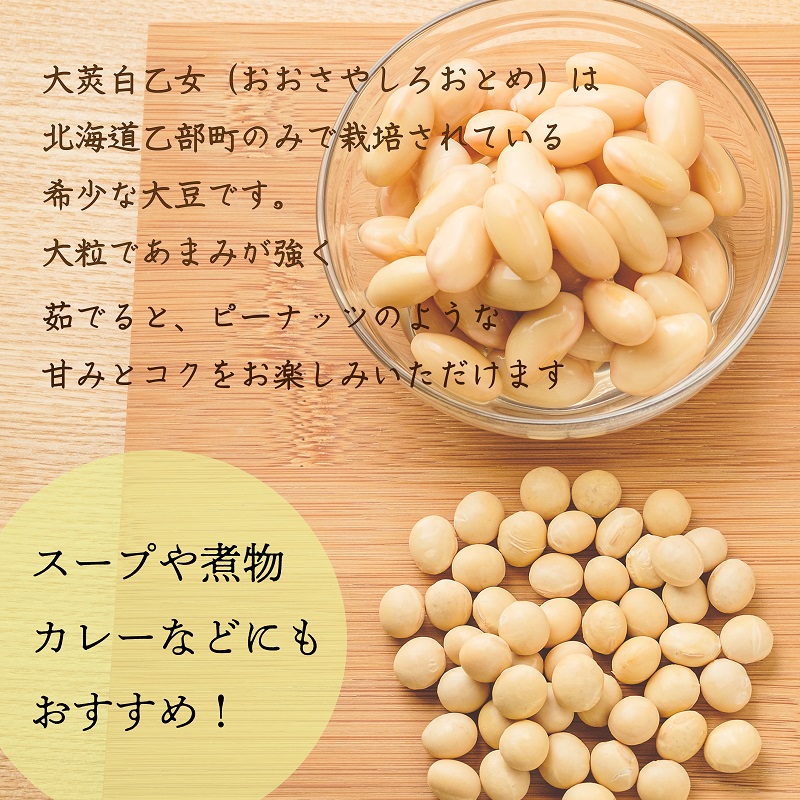 大莢白乙女詳細2