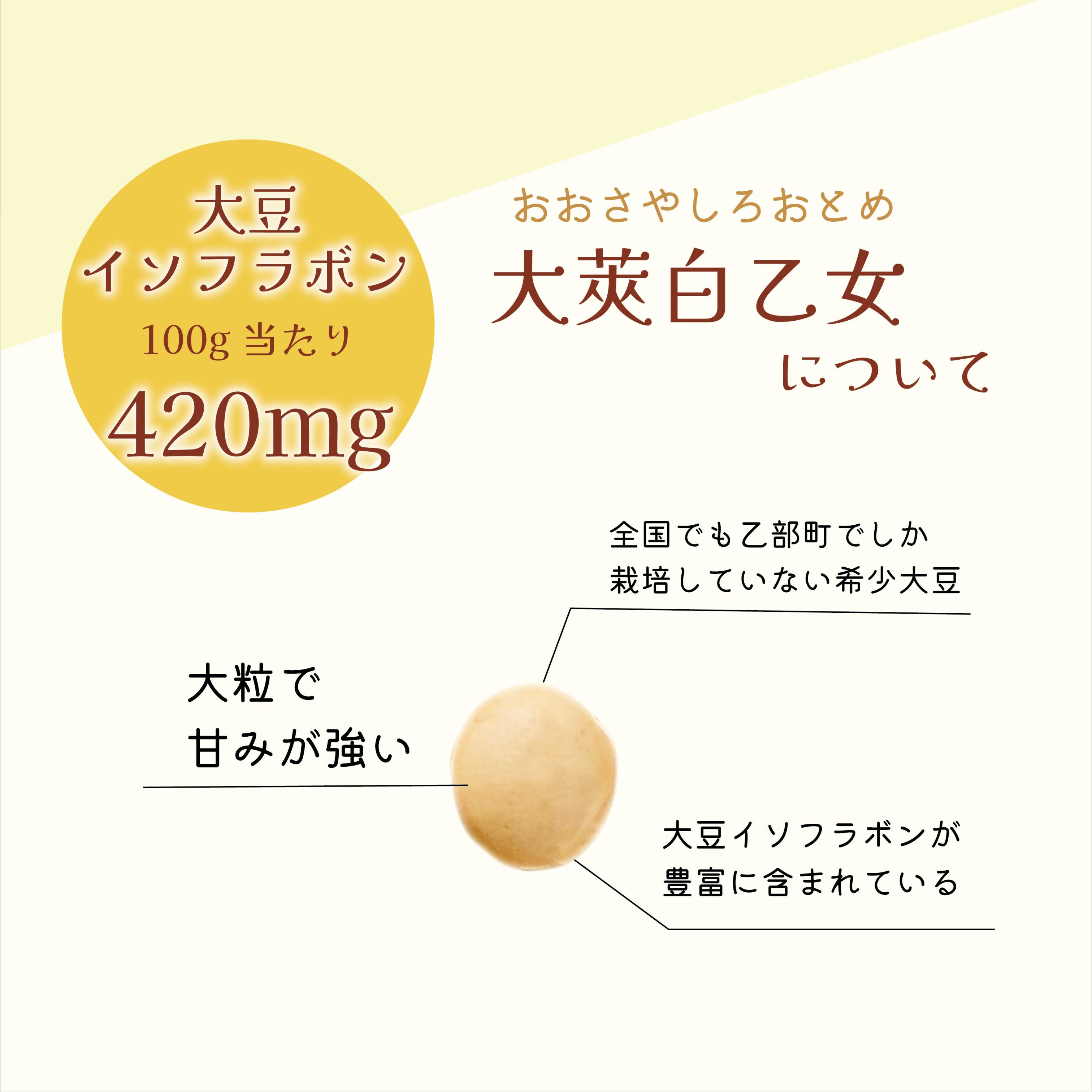大莢白乙女説明1