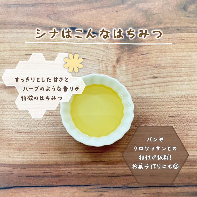 シナ説明