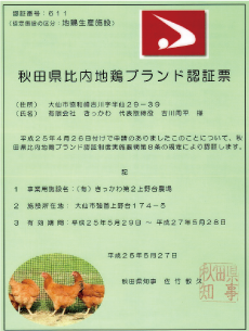 比内地鶏2
