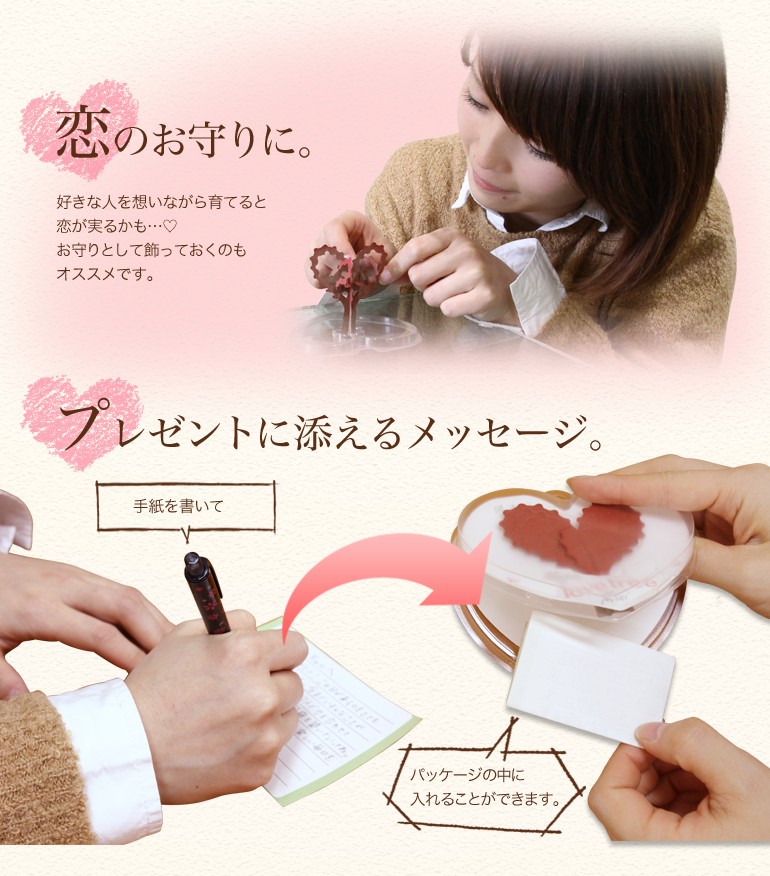 オトギノ バレンタイン マジックラブツリーミニ 自分で育てる