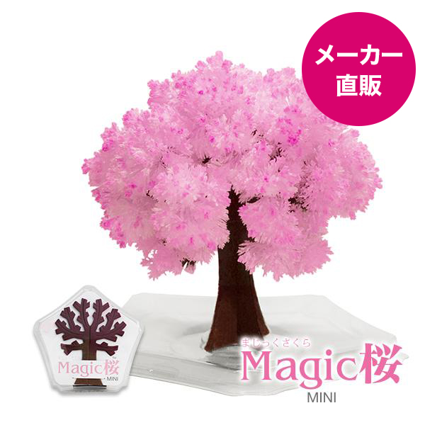 Yahoo! Yahoo!ショッピング(ヤフー ショッピング)マジック桜ミニ Magic桜ミニ 6時間で咲くサクラ お土産や結婚式のプチギフト 母の日 入学祝 卒業祝 合格祈願などに おとぎの国