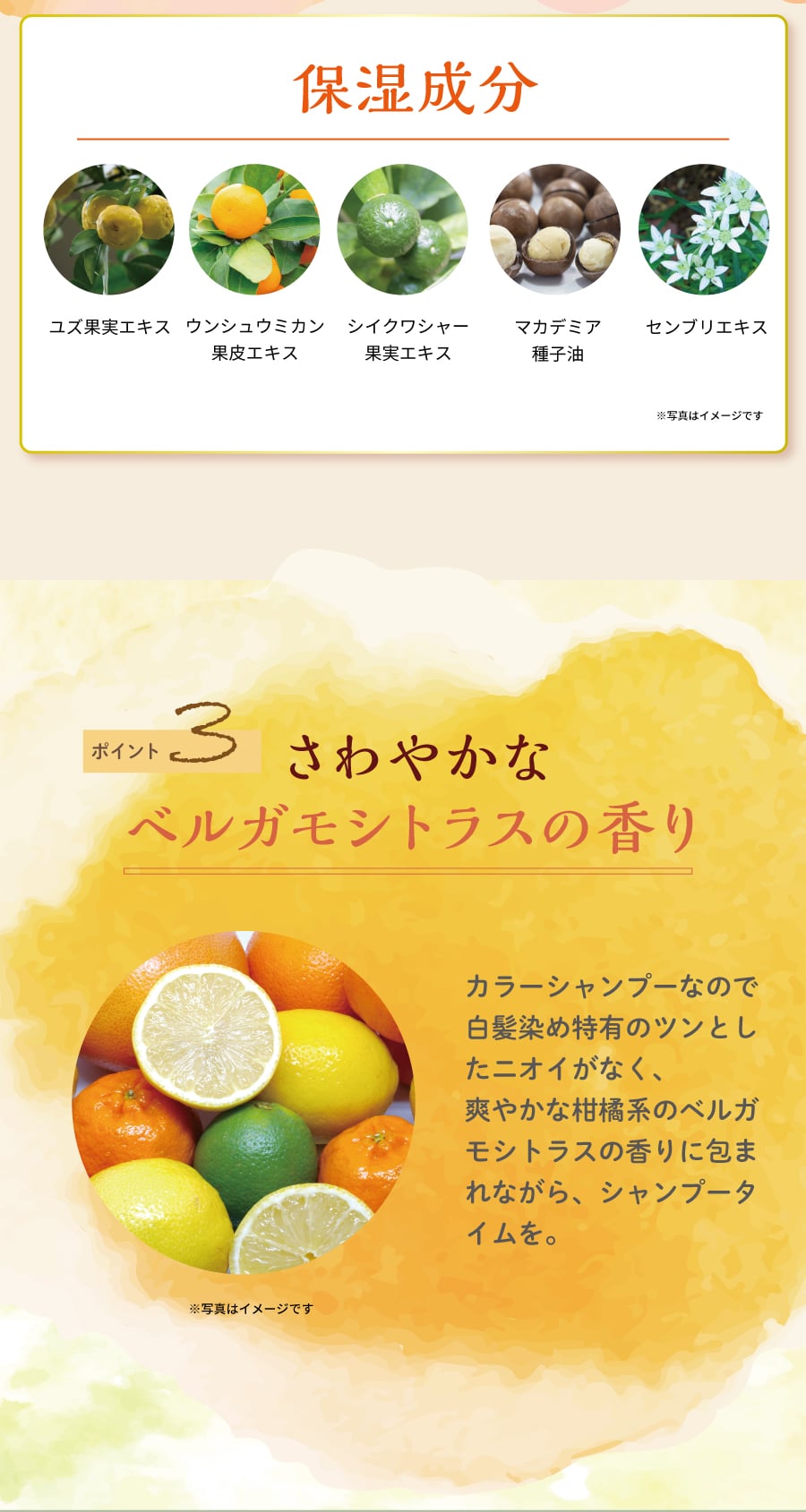 保湿成分